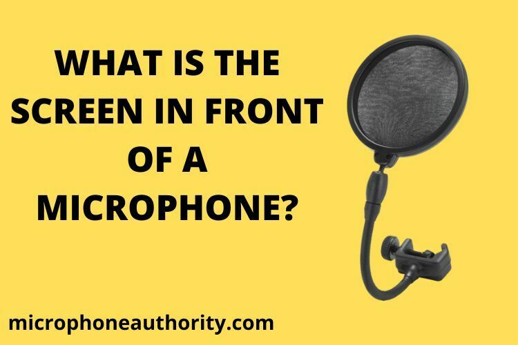 What Is The Screen In Front Of A Microphone?