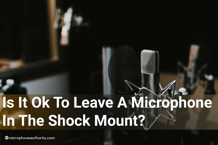 Is It Ok To Leave A Microphone In The Shock Mount?
