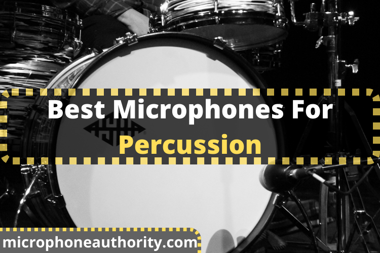 Best Microphones For Percussion In 2022