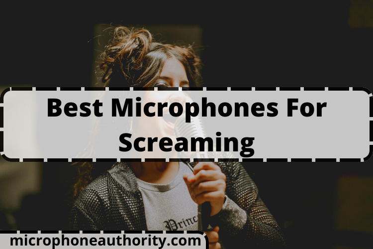 Best Microphones For Screaming