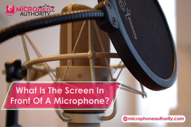 What Is The Screen In Front Of A Microphone